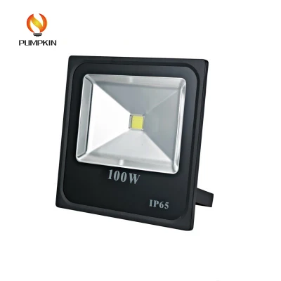 Driver IC di garanzia della qualità Luce di inondazione LED da 100 W bassa